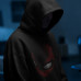 Spiderman - Hudica Raster Design